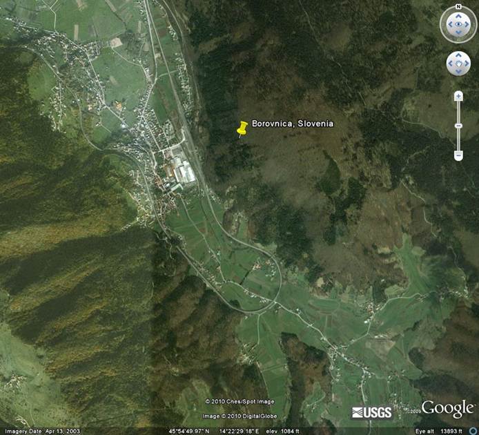 Description: Borovnica